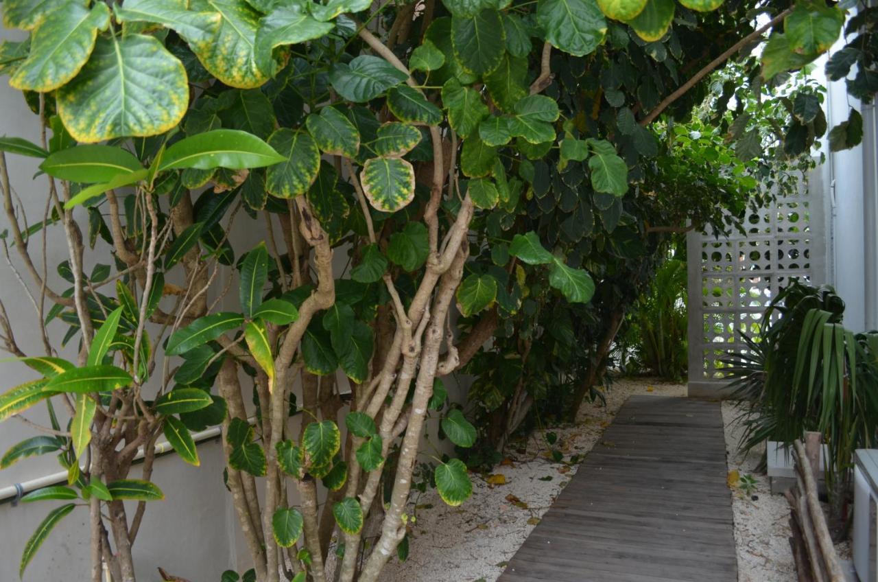 Casa Cielo Cancun Bed & Breakfast Ngoại thất bức ảnh